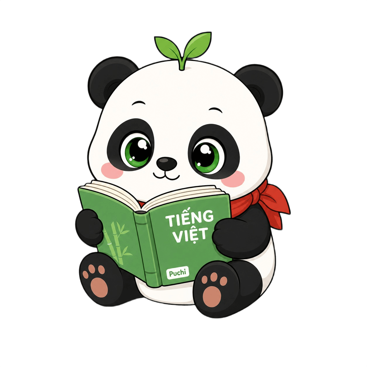 Puchi reading a Vietnamese book